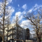 2016年入試応援レポート～2/3東京都立桜修館中等教育学校