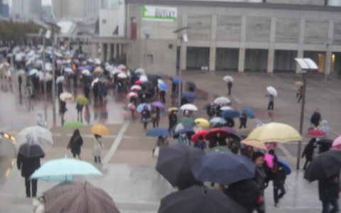 2012入試応援レポート～市川