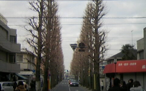 2013入試応援レポート　～成城学園中学校