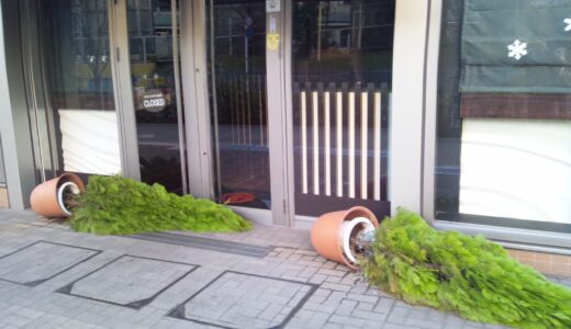 2013入試応援レポート～九段中等教育学校