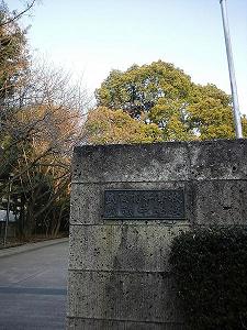 2013入試応援レポート～武蔵中学校