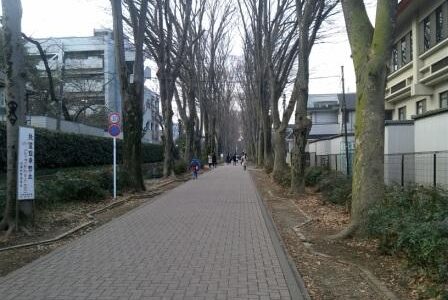 2013入試応援レポート～成蹊中学校