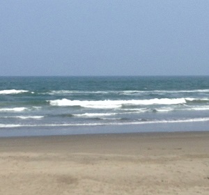 これまでやったことがないことをやる　それだけでも貴重な経験です