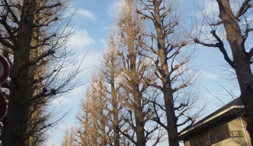 2014入試応援レポート ～成城学園中学校～